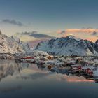 Reine