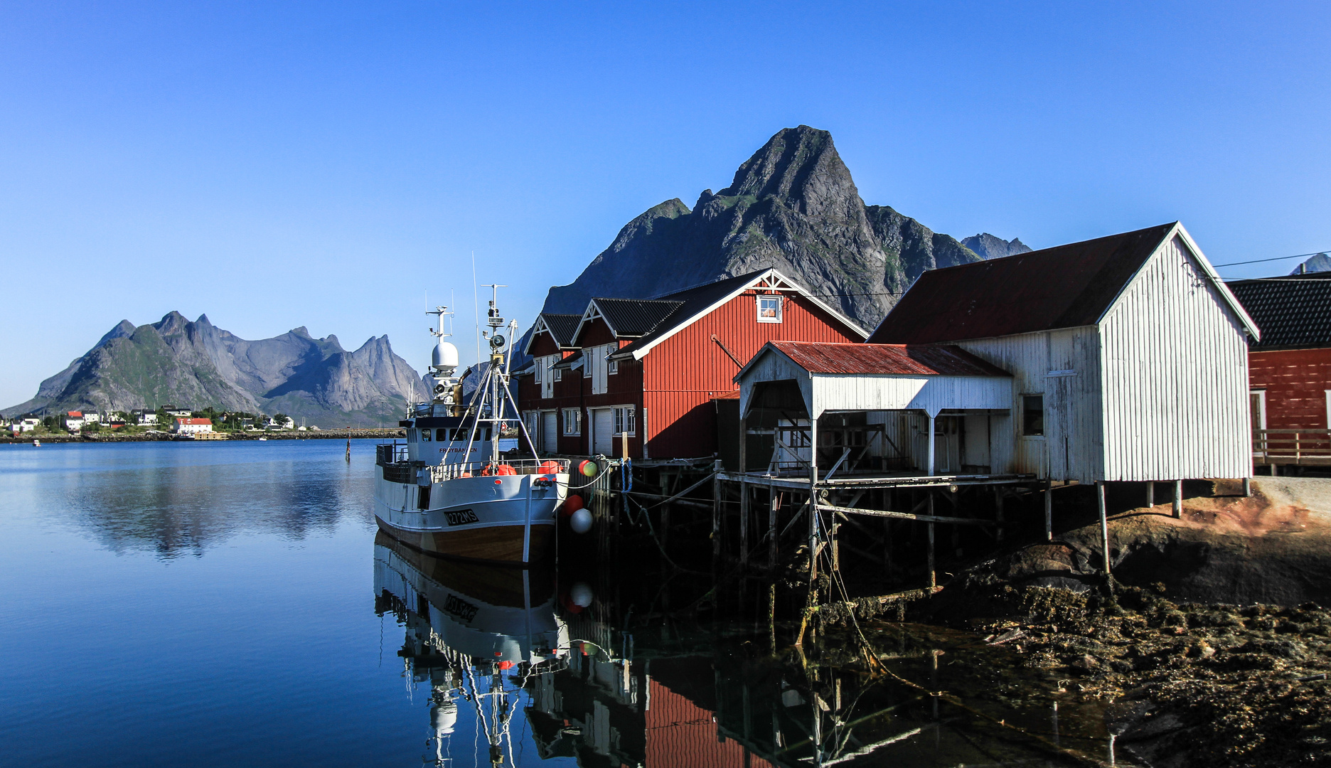 Reine