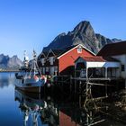 Reine