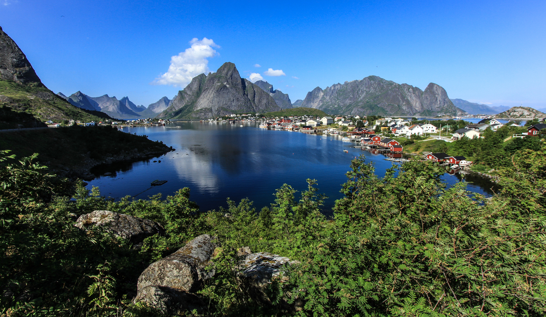 Reine