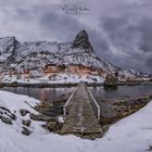 Reine