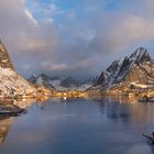 Reine