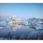 Reine - I