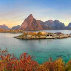 Reine in the fall