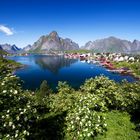 Reine, isole Lofoten, Norvegia