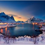 Reine | Last Light