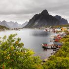 Reine - Lofoten