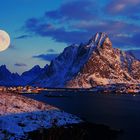 Reine Lofoten