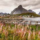 Reine - Lofoten