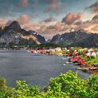 Reine / Lofoten