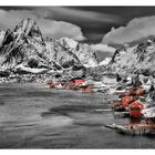 Reine Lofoten im Winter schwarz-weiss-coloriert