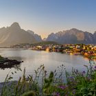 Reine @midnight sun