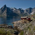 Reine (Norwegen) #1