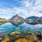 Reine reflection 