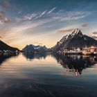 REINE / SUNSET