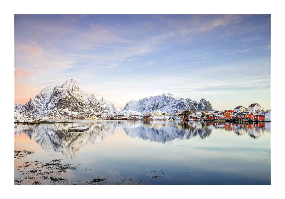 Reine - V