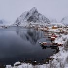 Reine viewpoint