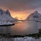 Reine vor dem Sturm