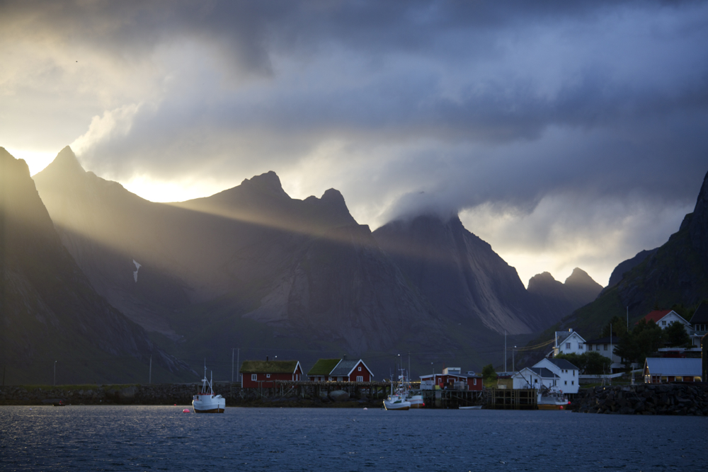 REINE VOR MITTERNACHT