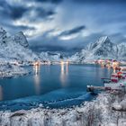 Reine zur blauen Stunde