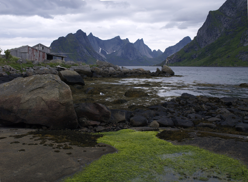 Reinefjord from Reine