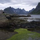 Reinefjord from Reine