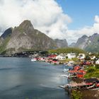 Reine/Lofoten Sommer  2017