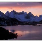 Reine@Night