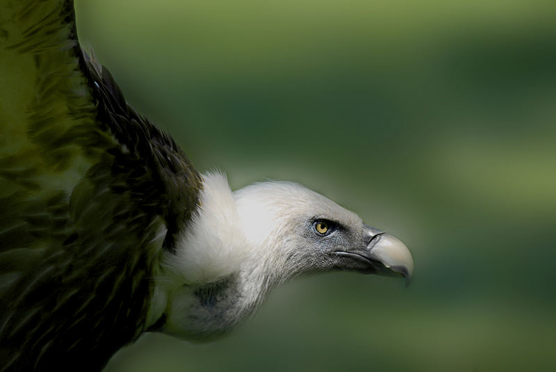 Reiner's Spezi im Duisburger Zoo