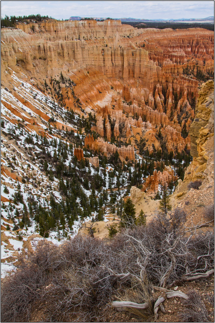 Reingeschaut Bryce Canyon