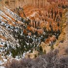 Reingeschaut Bryce Canyon