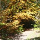 Reinhardswald bei der Sababurg, ein wunderschöner Herbsttag