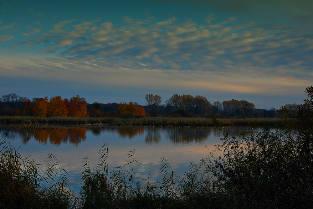 Reinheimer Teich Foto & Bild landschaft, bach, fluss & see, see