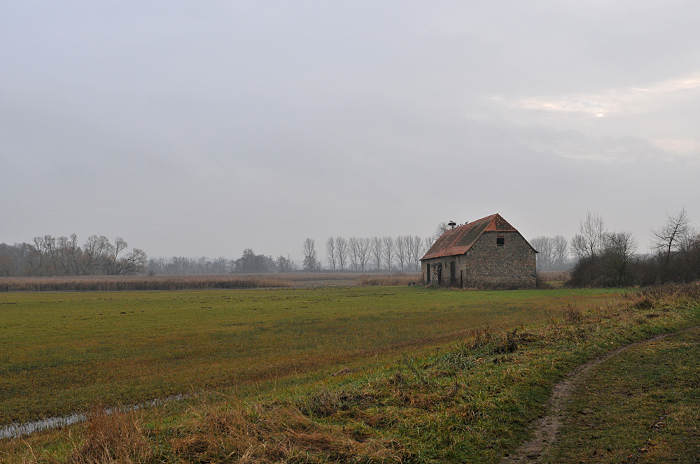 Reinheimer Teich: Historische Teichscheune 02