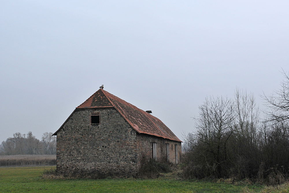 Reinheimer Teich: Historische Teichscheune 03