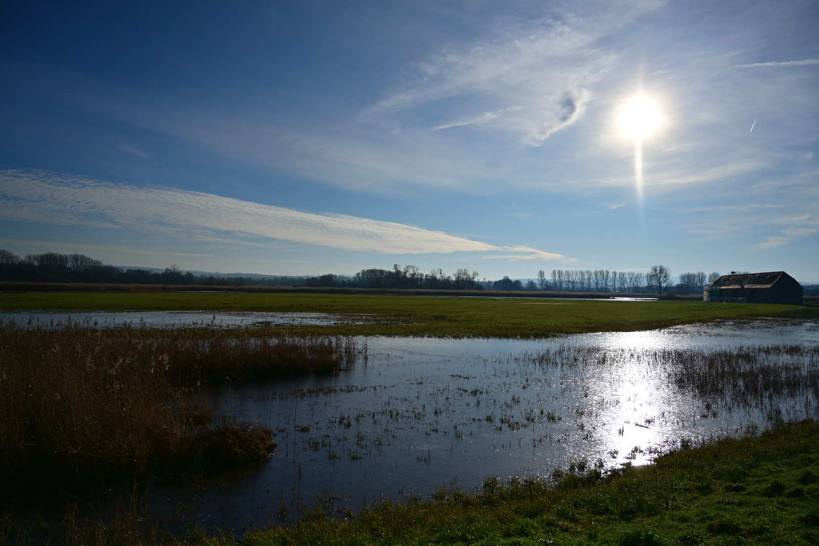 Reinheimer Teiche