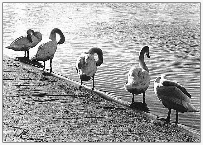 Reinigung im Abendlicht....