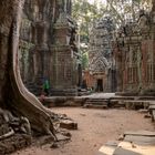 Reinigung von Ta Prohm Tempel Ankor Kambodscha