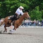 Reining Cup -2-