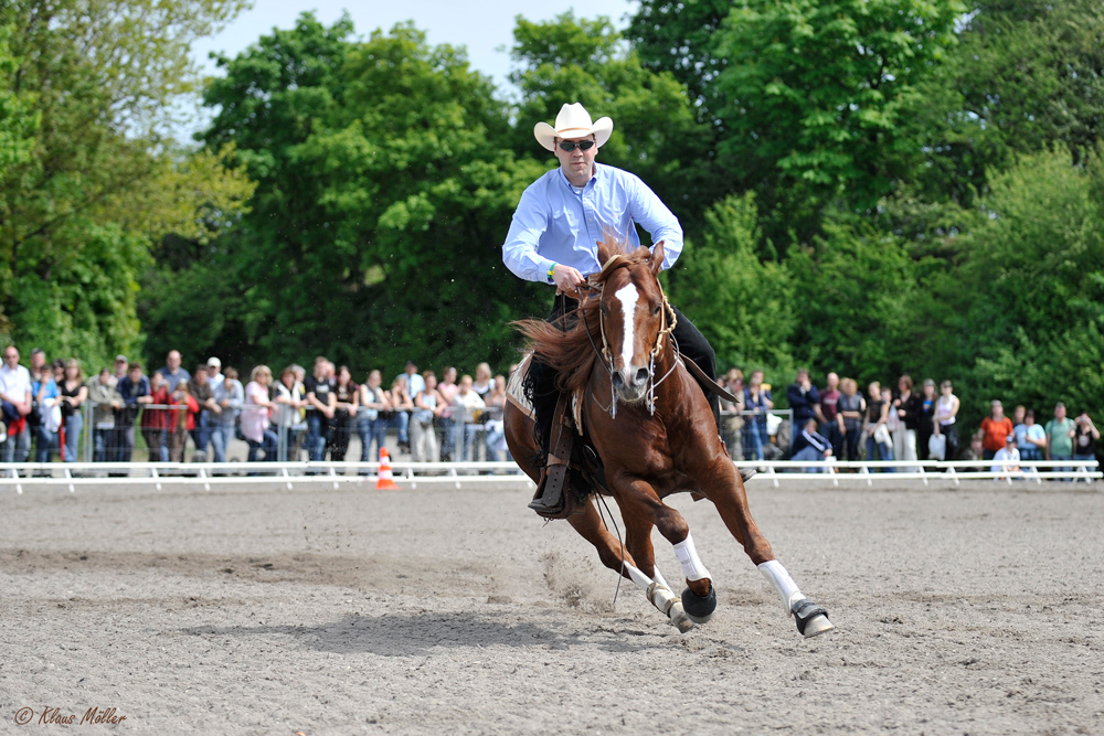 Reining Cup