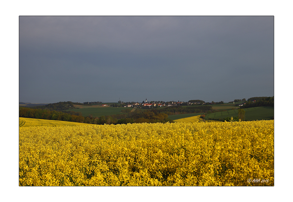 Reinsdorf hinter'm Raps