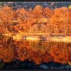 Reintaler See im Herbst