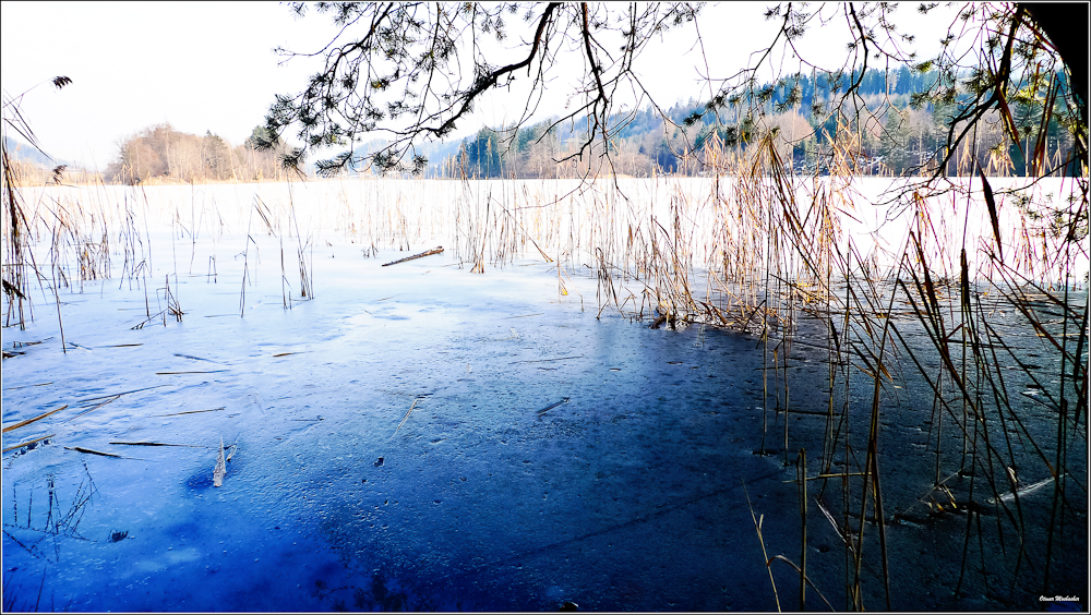 Reintaler See - tief winterlich