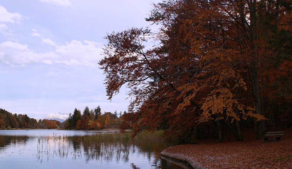 Reintalersee im Herbst III