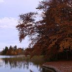 Reintalersee im Herbst III