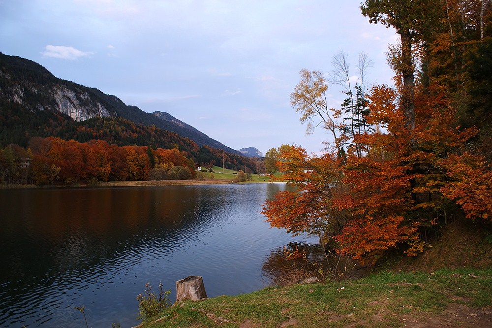 Reintalersee im Herbst IV