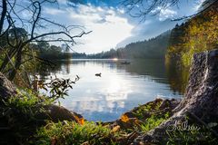 Reintalersee / Tirol