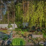 Reinwald's Garten ....