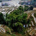 Reisanbau bei Sapa in Nordvietnam