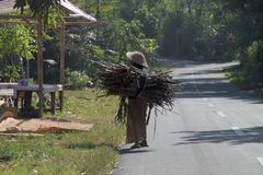 Reisbauer auf Bali